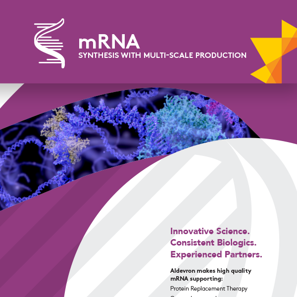 mRNA-Synthesis with Multi-scale Production