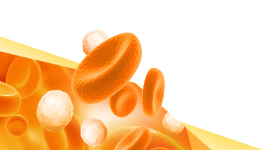 A Comprehensive Overview and Prognosis of the Diabetes Market