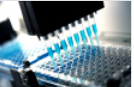 Almac and DSM Pharma sharing enzyme expertise