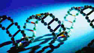 Alnylam Scientists Present New Research on Expanded Delivery of RNAi Therapeutics