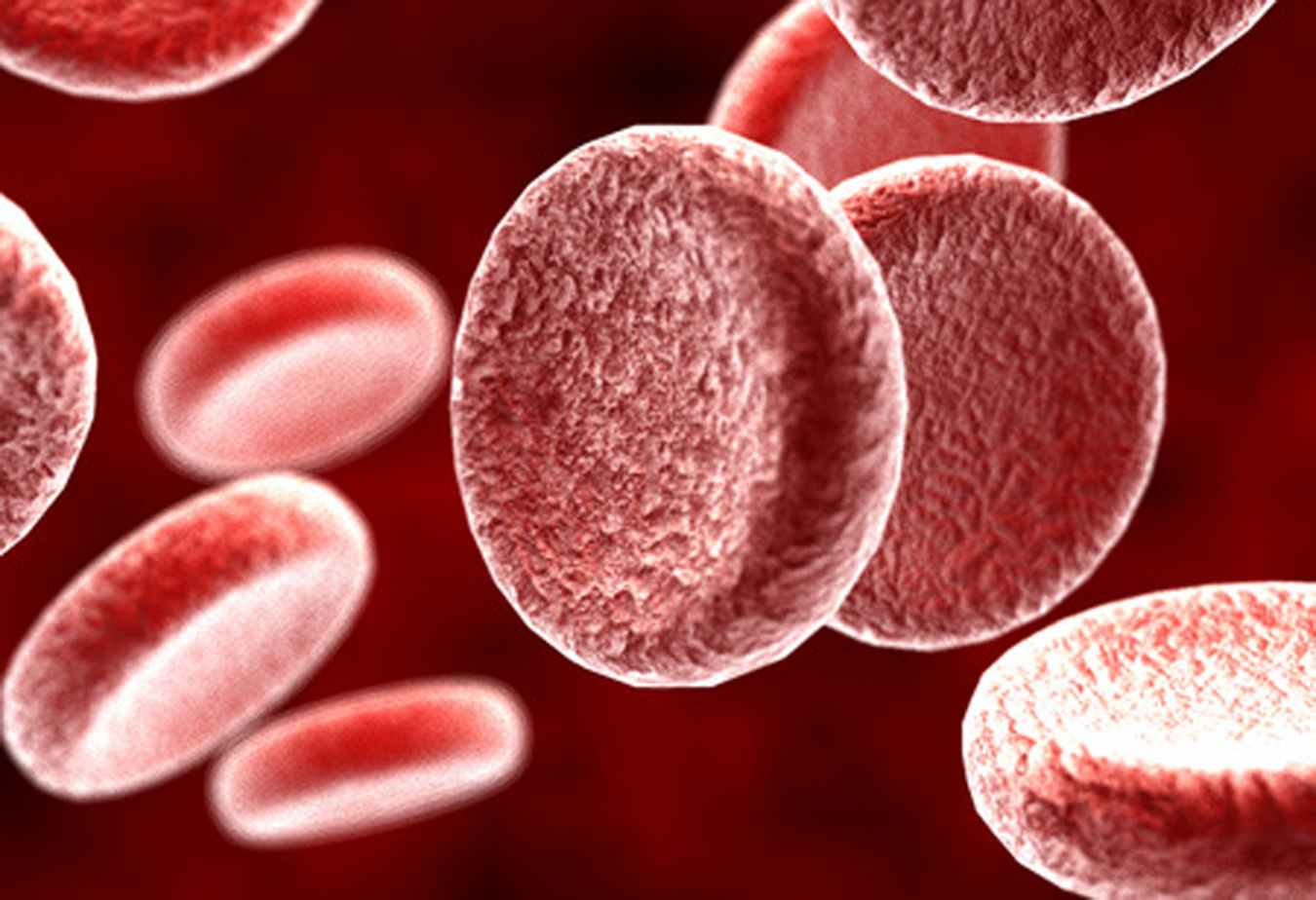 AMSBIO and Sanguine BioSciences Announce Distribution Agreement