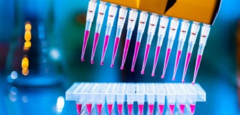 Andrew Alliance and Sartorius collaborate to provide software-connected pipettes for life science research