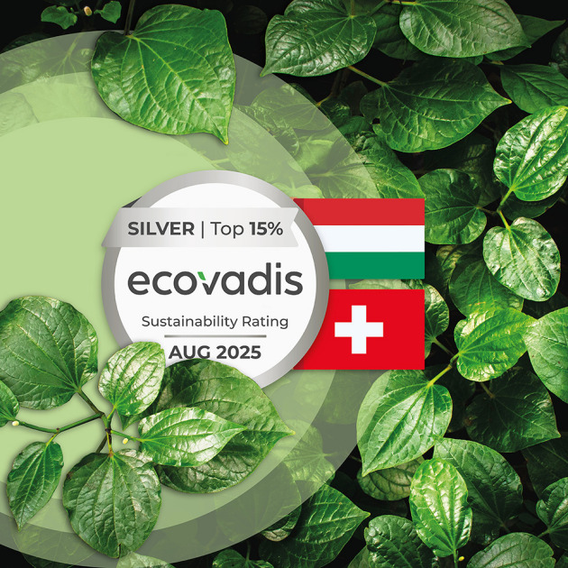 Back to overview EcoVadis Post Web 23. September 2025 Neopac Group Achieves EcoVadis Silver Medal at Two Key Sites