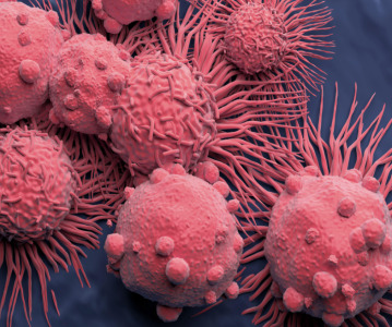 CAR-T therapy for renal cell carcinoma gains fast track approval