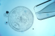Cell culture is 'next big pharmaceutical trend'