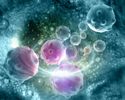 Cell lines and media for difficult to culture tumour types