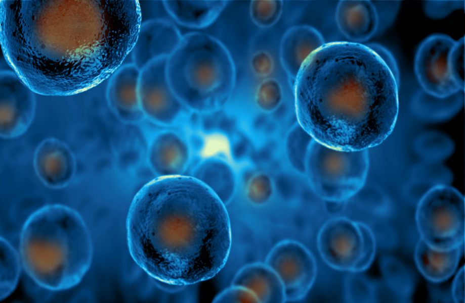 Clean Cells to invest €13 million to create Europe's largest cell bank production site