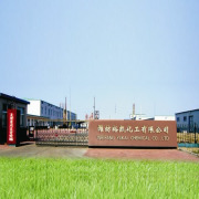 Company Introduction