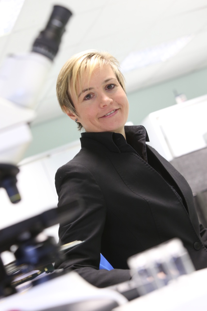 CRO, Onyx Scientific, to Expand GMP Capability