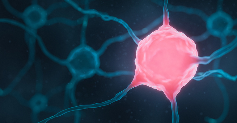 Data on lead ADC demonstrates effective tumour regression