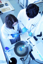 Domainex Reports Success of its Lead Compound in Pre-clinical Model of COPD