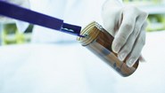 DPX-0907 Cancer Vaccine Successful in Phase I Trial