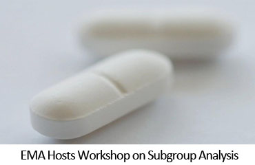 EMA Hosts Workshop on Subgroup Analysis