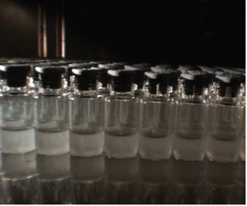 Ensuring robust lyophilization scale-up