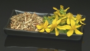 EU Curbs on Ayurvedic Drugs Takes Effect on May 1