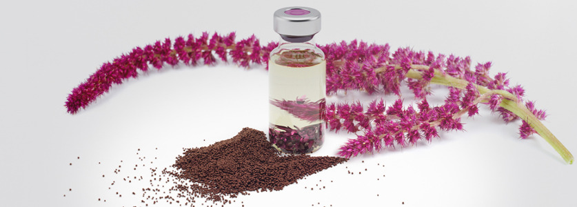 Evonik wins CPHI Pharma Award 2024 for its plant-based squalene