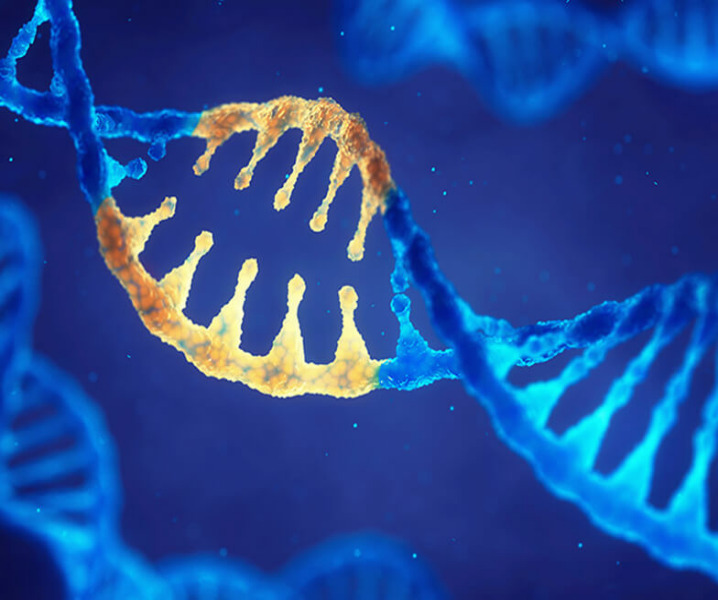 Forge Biologics to provide CDMO support for Solid Biosciences' preclinical gene therapy