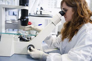 Gelesis makes anti-obesity progress