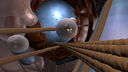 Gene-Silencing Data now Publicly Available to Help Scientists Better Understand Disease