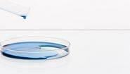 Genentech aBCC Drug Meets Phase II Endpoint