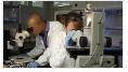 Genistein could prove beneficial for the treatment of colorectal cancer