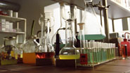 Genzyme To Build New Plant for Pompe Disease Drugs