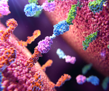Gilead Sciences acquires Ouro Medicines for over US$2 billion