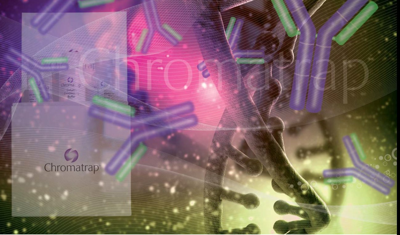High quality specific ChIP-validated antibodies