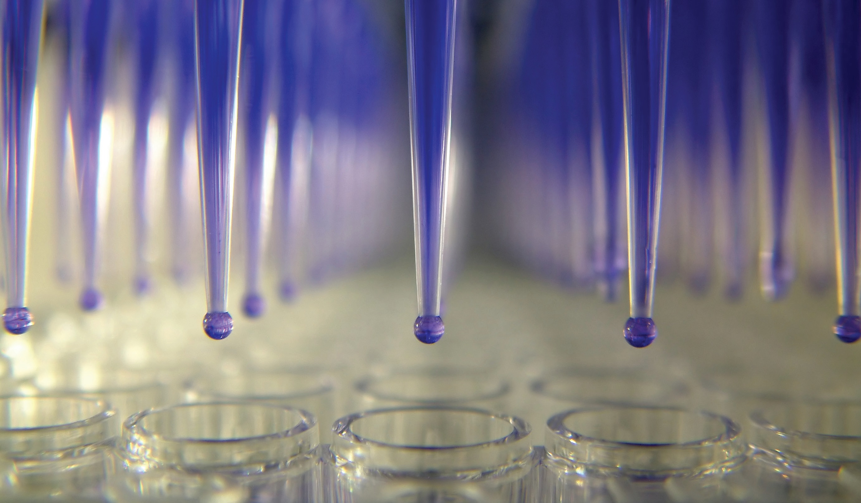 High Throughput 96- & 384-Well DNA Purificati?on