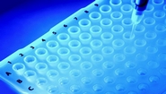 ICMR to Hold 'Public Consultation' on Guidelines for Stem Cell Research Regulation