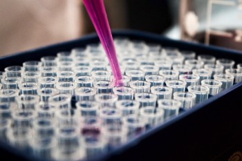 In vitro disease models that could lead to new therapies