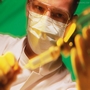 India to Update Guidelines for Stem Cell Research Regulation