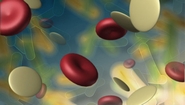 Industrial Cell Culture Technology Conference to Be Held in June