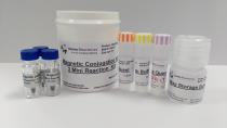 Innova Biosciences introduces Magnetic Conjugation Kit