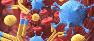 Isotype-specific secondary antibodies for improved signal detection