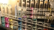 IVI Signs with Inviragen to Develop Dengue Fever Vaccine