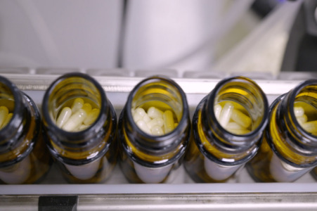 Keeping Probiotics Alive: What Supplement Brands Need to Know
