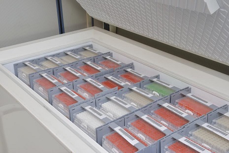 Lightweight Modular Chest Freezer Rack