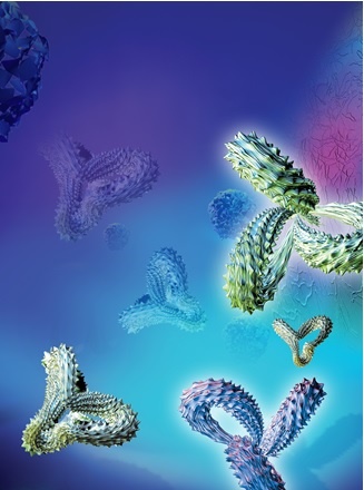 'Made-to-Measure Phospho-Specific Polyclonal Antibodies