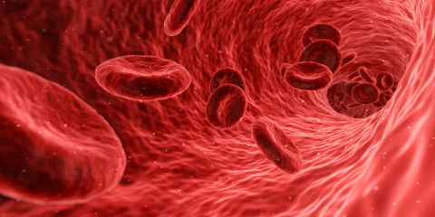 Major breakthrough for new haemophilia A treatment