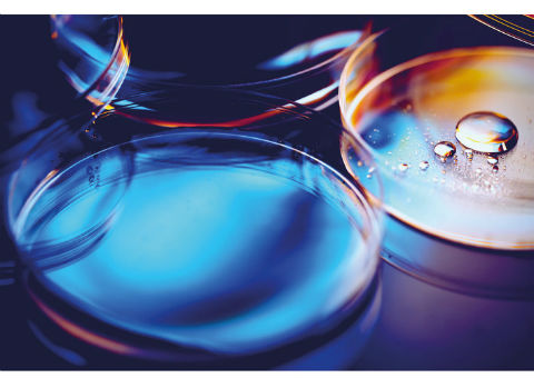 Major changes for bio supply forecast in 2018 by bioLIVE