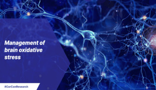 Management of Brain Oxidative Stress