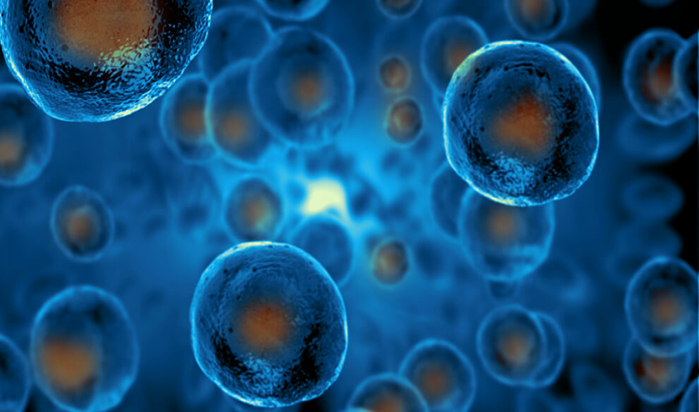 MaxiVAX and Minaris strike immunotherapy manufacturing partnership deal