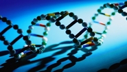 Merck Establishes Asian R&D Headquarters in Beijing