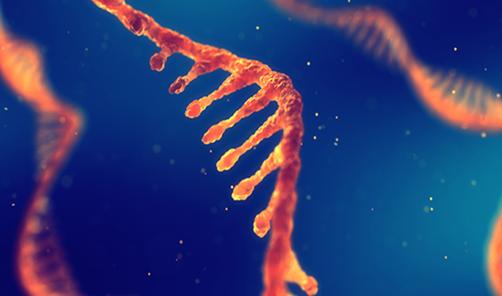 Merck KGaA expands its mRNA capabilities through AmpTec acquisition
