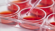 Merck Millipore & CCRM Collaborate for Stem Cells Development Project