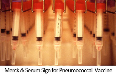Merck & Serum Sign for Pneumococcal Vaccine