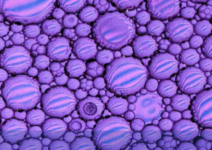 Nanoemulsions as a formulation approach for topicals