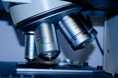 Natural lipid acts as potent anti-inflammatory