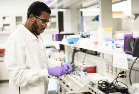 New automated VPT systems for topical drug performance testing